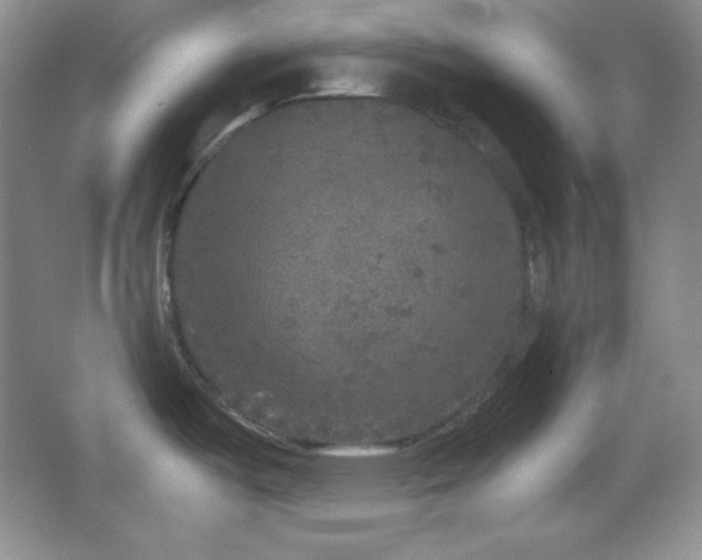 X0000067501487200604071213