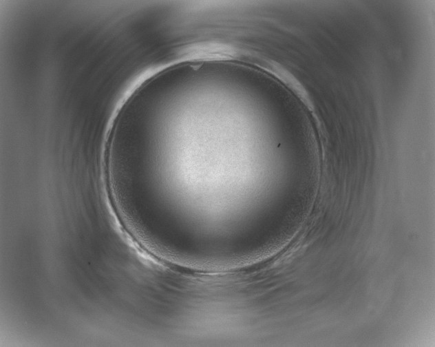 X0000067501488200604071213