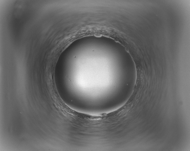 X0000067501489200604071212