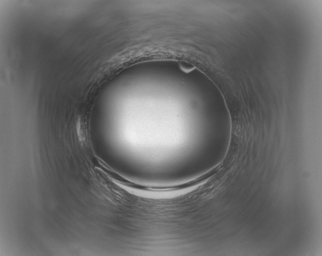 X0000067501490200604071212