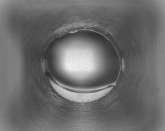 X0000067501492200604071212