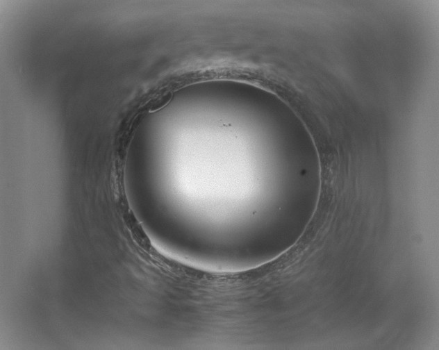 X0000067501493200604071212