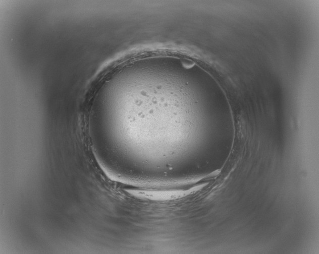 X0000067501494200604071212