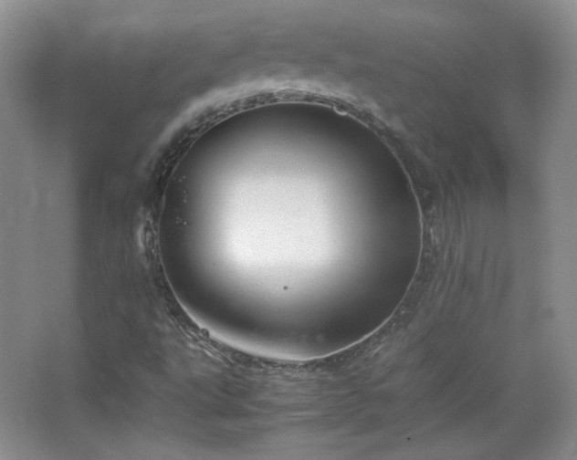 X0000067501495200604071212