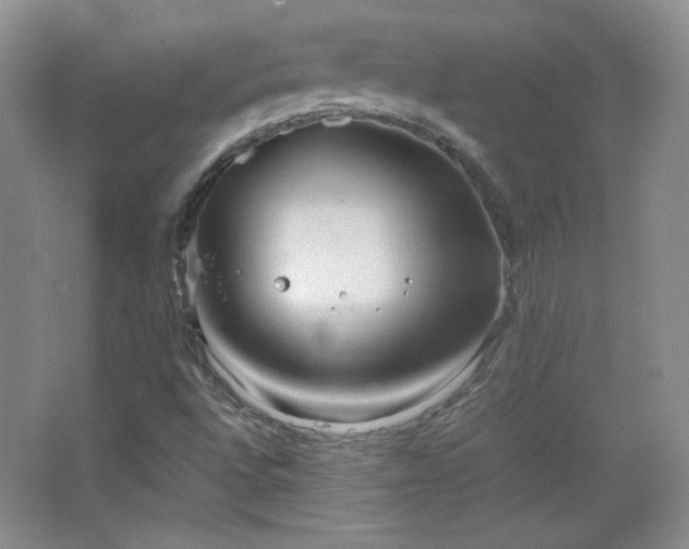 X0000067501496200604071212