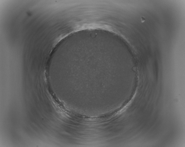 X0000067501497200604071212