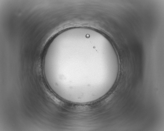 X0000067501498200604071212