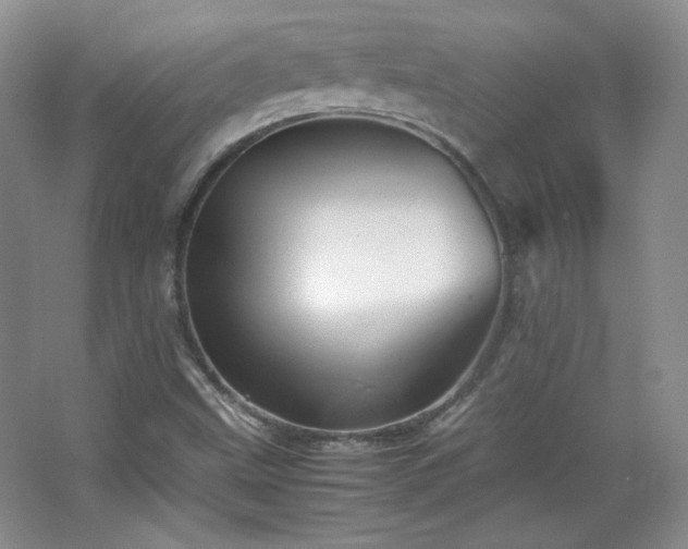 X0000067501499200604071212