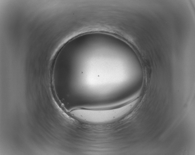 X0000067501500200604071213