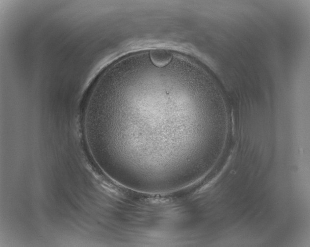 X0000067501501200604071213