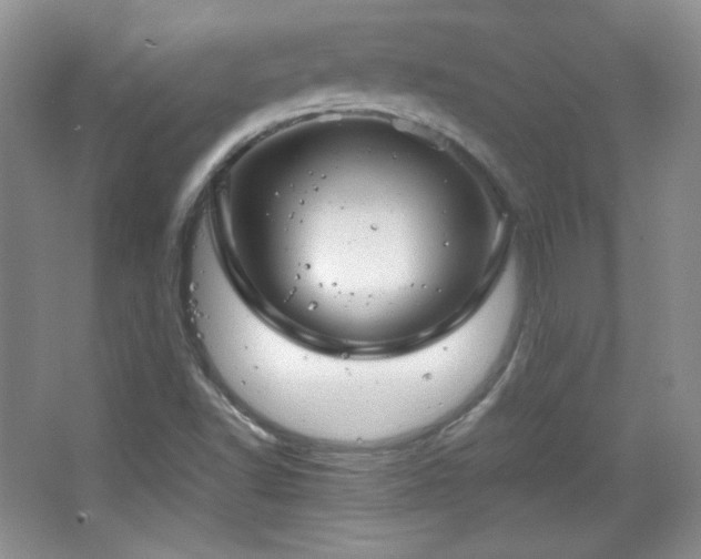 X0000067501502200604071213