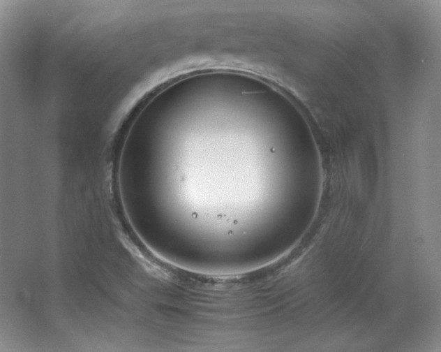 X0000067501503200604071213