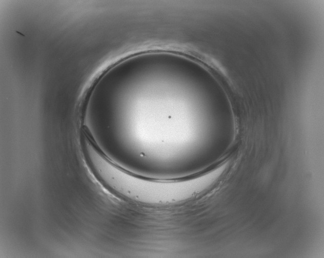 X0000067501504200604071213