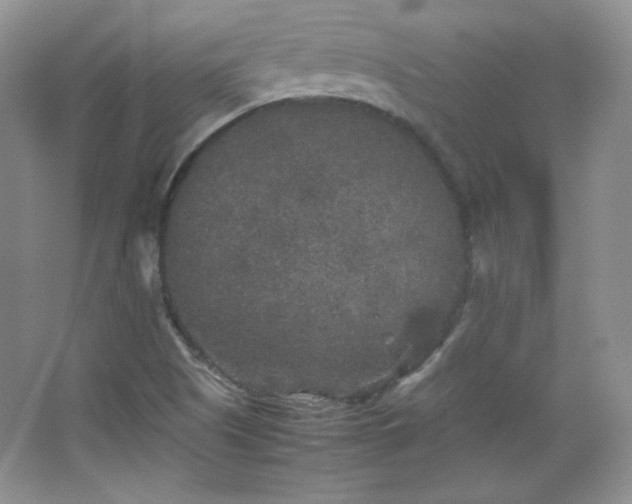 X0000067501505200604071213