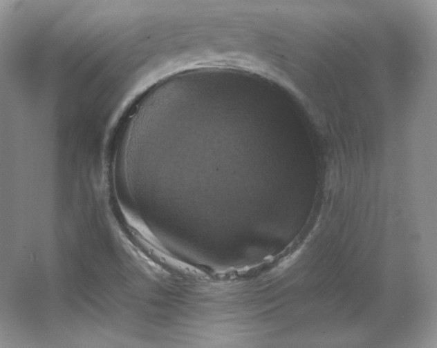 X0000067501506200604071213