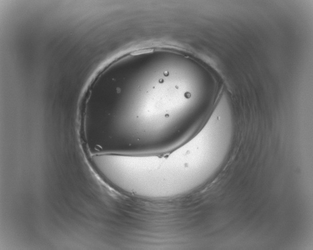 X0000067501508200604071213