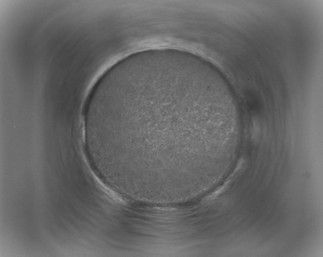 X0000067501509200604071213