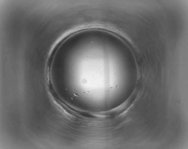 X0000067501510200604071213