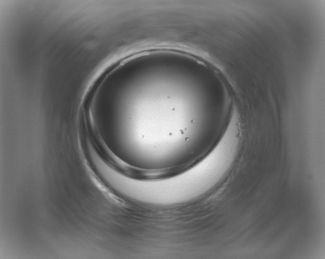 X0000067501511200604071213