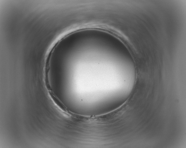 X0000067501512200604071213