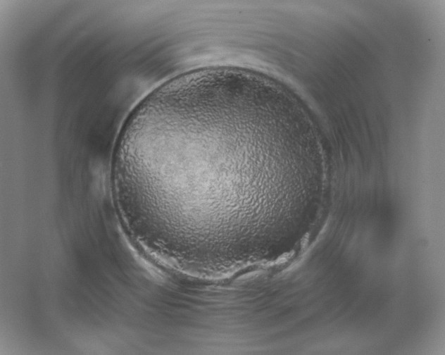 X0000067501513200604071213