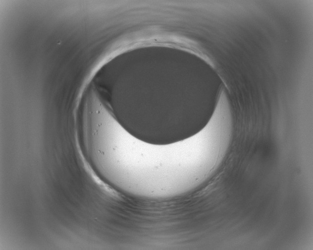 X0000067501515200604071213