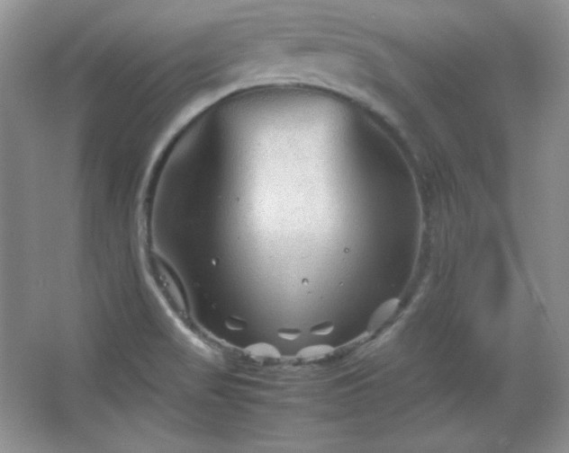 X0000067501517200604071213