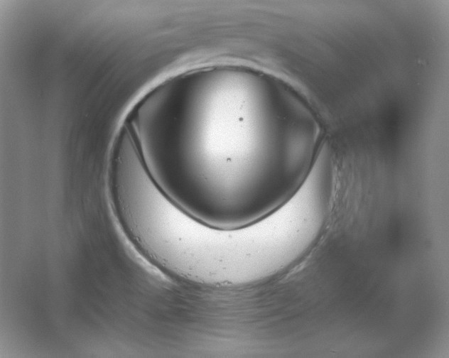 X0000067501518200604071213