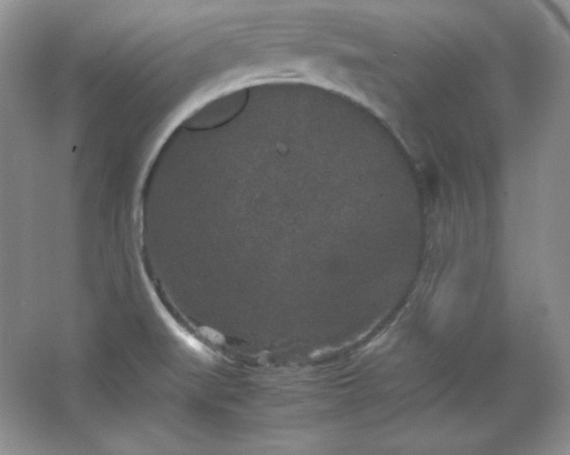 X0000067501519200604071213