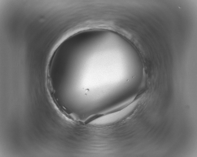 X0000067501520200604071213