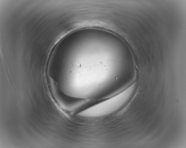 X0000067501521200604071213