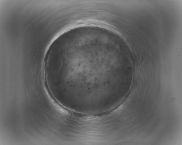 X0000067501522200604071213