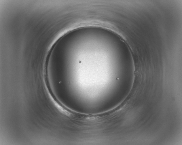 X0000067501523200604071213