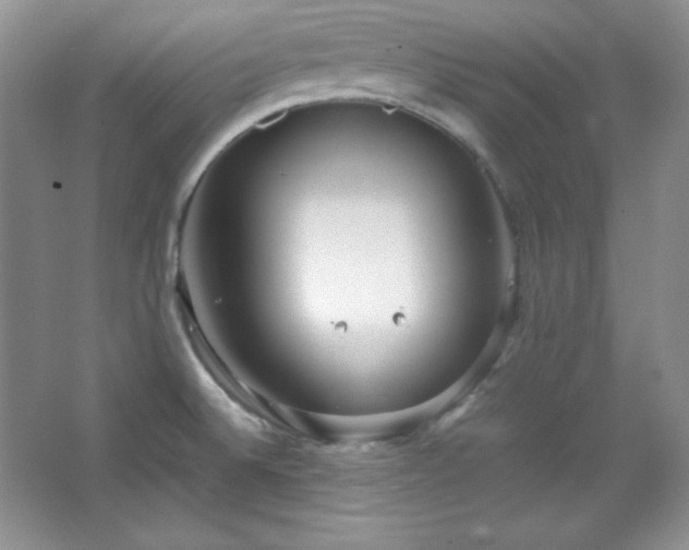 X0000067501524200604071213