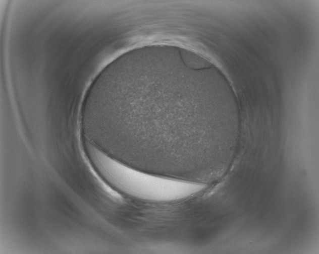 X0000067501525200604071213