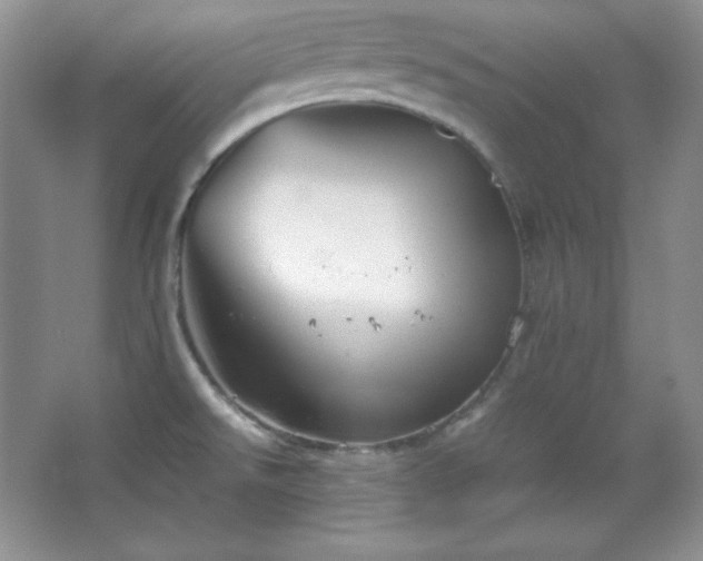 X0000067501526200604071213