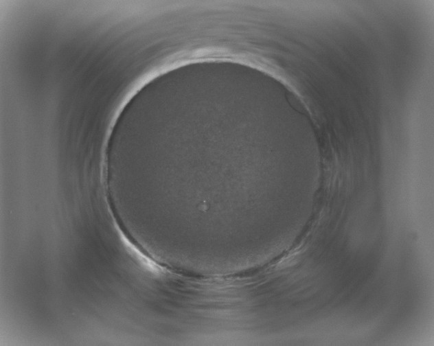 X0000067501527200604071213