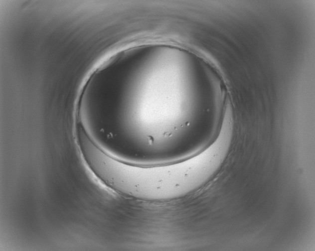 X0000067501528200604071213