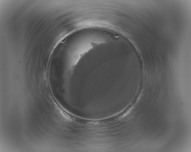 X0000067501529200604071213