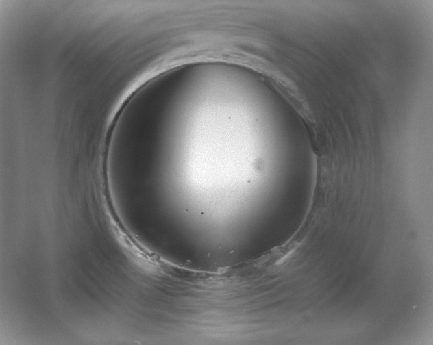 X0000067501530200604071213