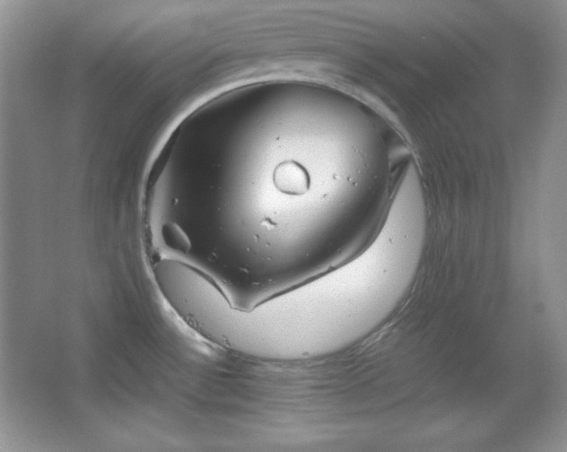 X0000067501532200604071213