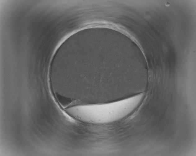 X0000067501533200604071213