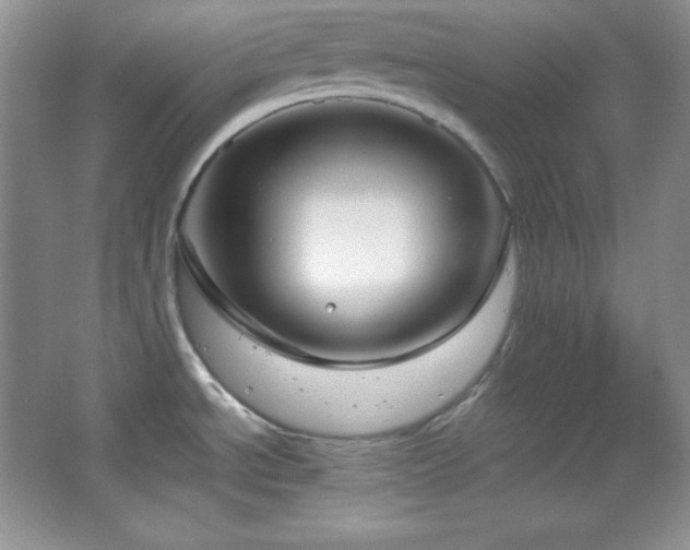 X0000067501534200604071213