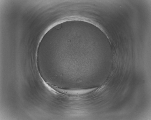 X0000067501535200604071213