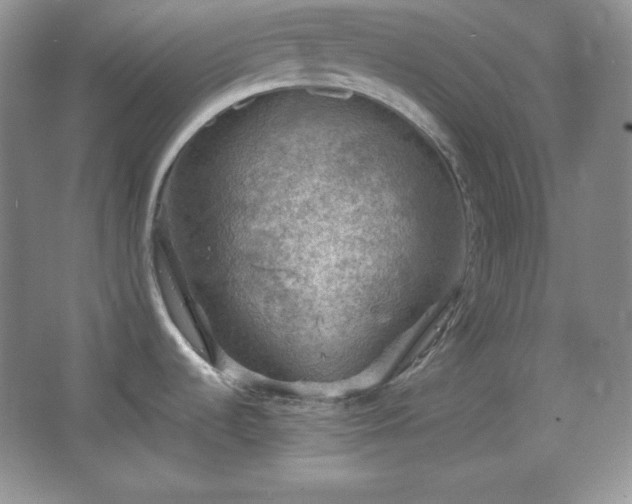 X0000067501536200604071213