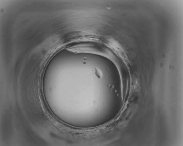 X0000067500001200604101242