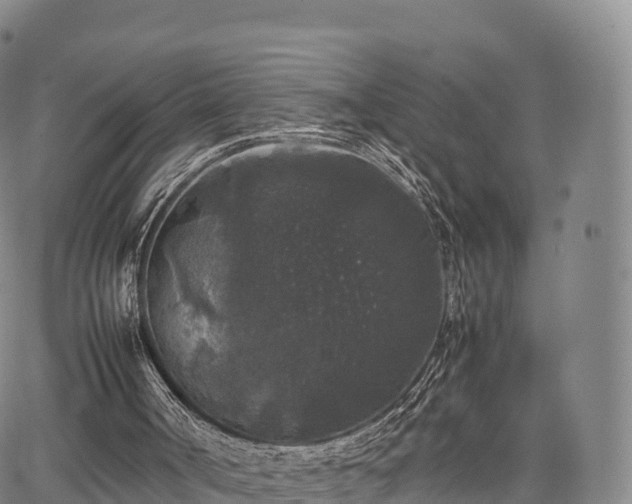 X0000067500002200604101242