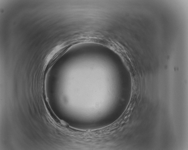 X0000067500003200604101242