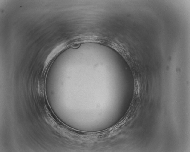 X0000067500004200604101242