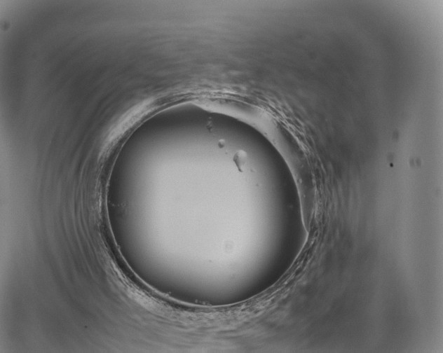 X0000067500005200604101242